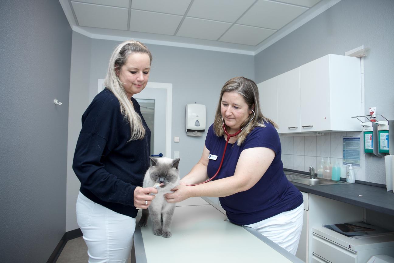 /bilder/leistungen/Innere Medizin.jpeg